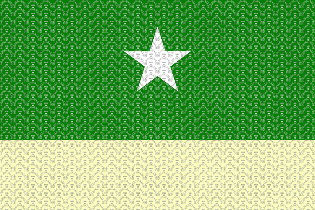 Brasão e Bandeira do Município de Condado/PE