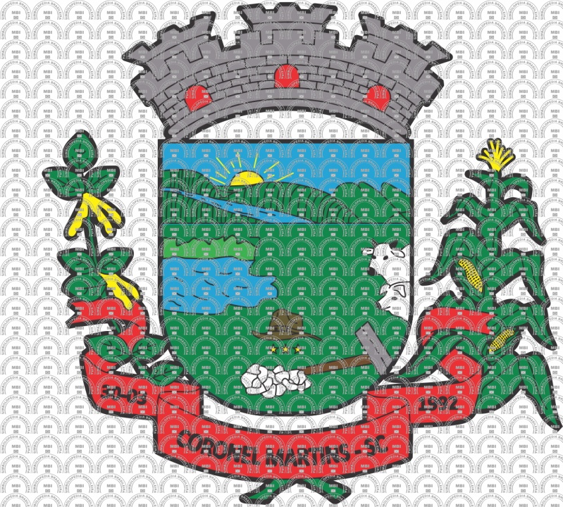 Brasão e Bandeira do Município de Coronel Martins/SC