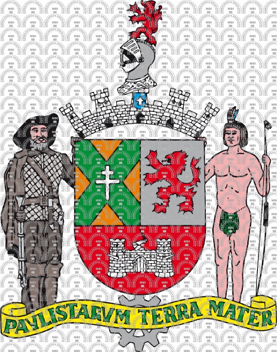 Brasão e Bandeira do Município de